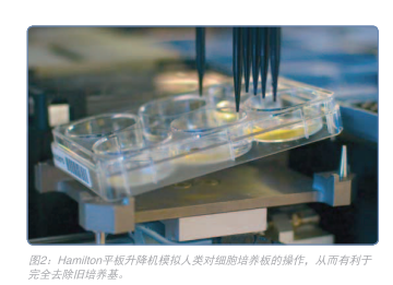 温和且灵活地<a class=