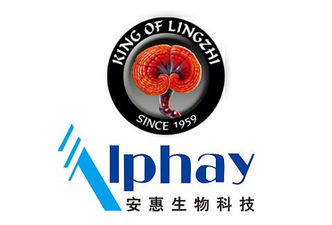 头条|安惠简历：嗨，大家好，我叫安惠