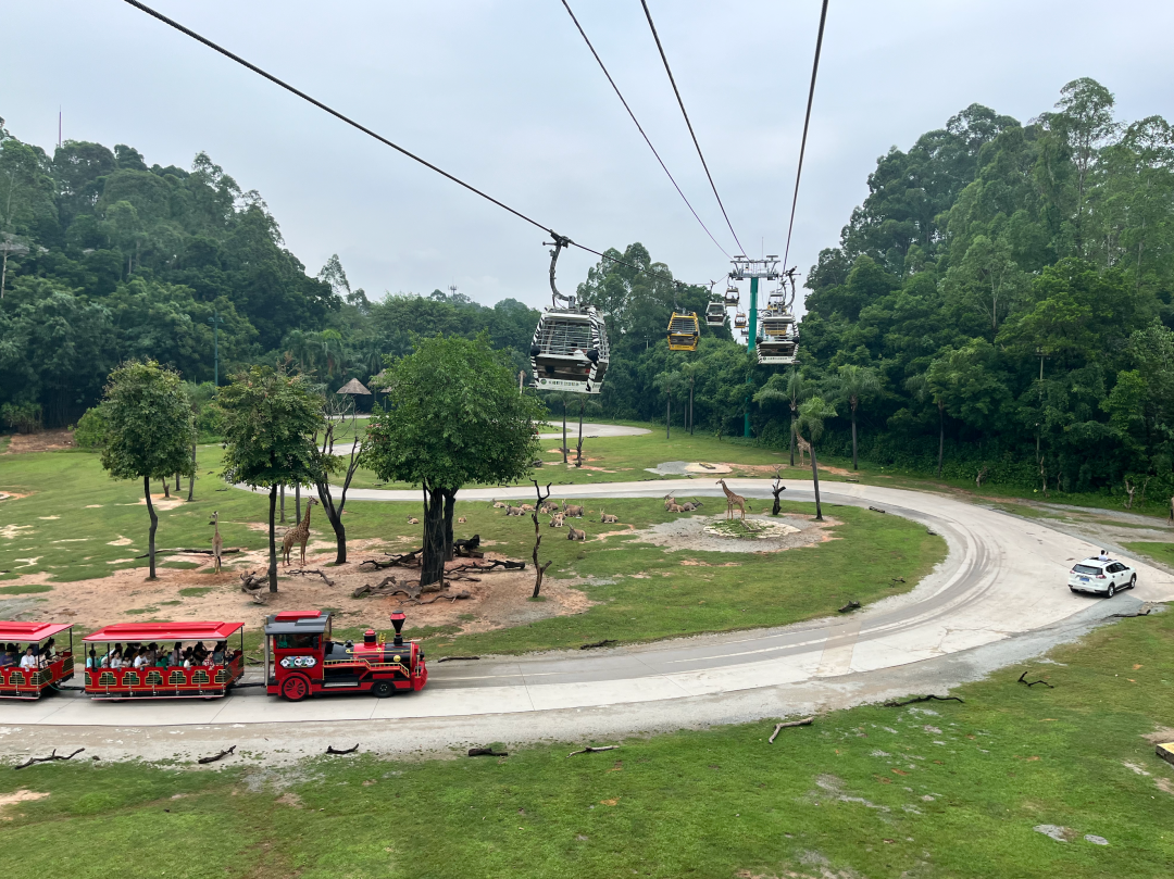 Cable Car at Guangzhou Chimelong Safari Park