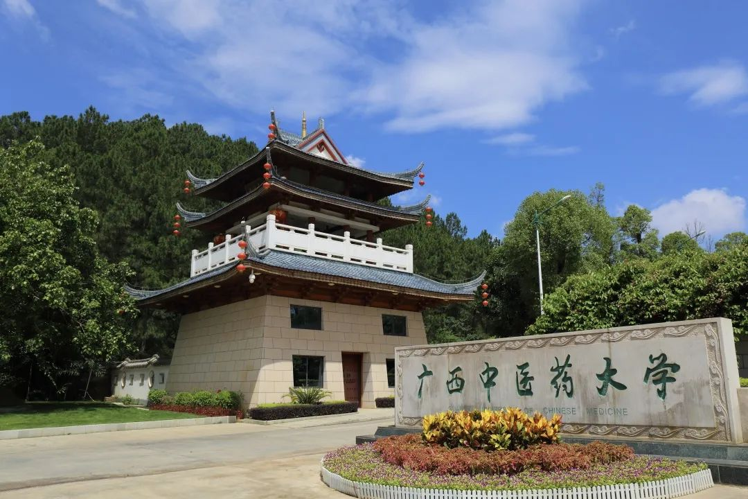 广西中医药大学还与泰国华侨崇圣大学等多个高校开展国际合作交流.