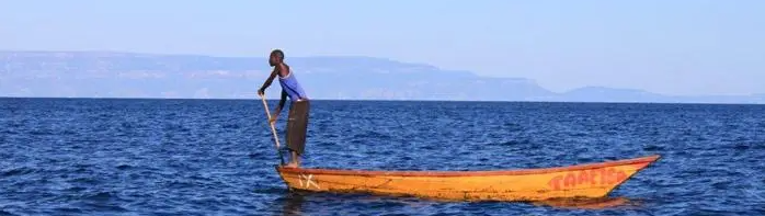 原生鱼快递打包_三湖鱼打包发货技巧_鱼只打包氧气比例