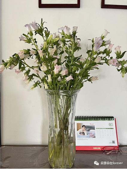 ���²�����