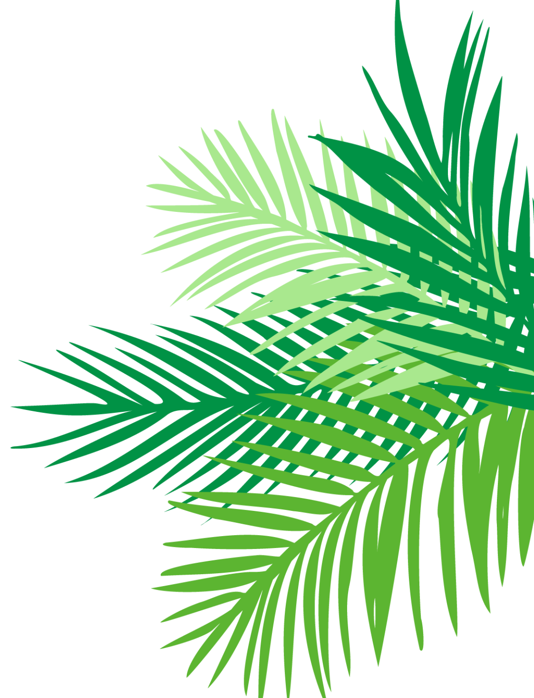 产后康复治疗仪怎么用乌沙医院引进超声子宫复旧治疗仪：让TA恢复如初 重现女性光彩_https://www.jmylbn.com_新闻资讯_第14张