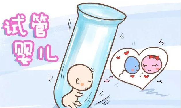 试管婴儿 试管婴儿