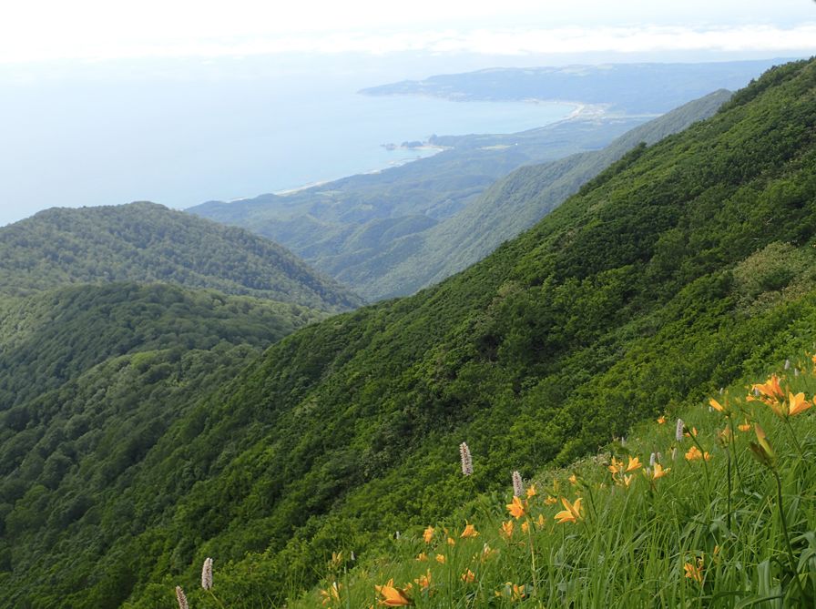 日本的小清新聖地，才不是北海道呢！ 旅遊 第5張