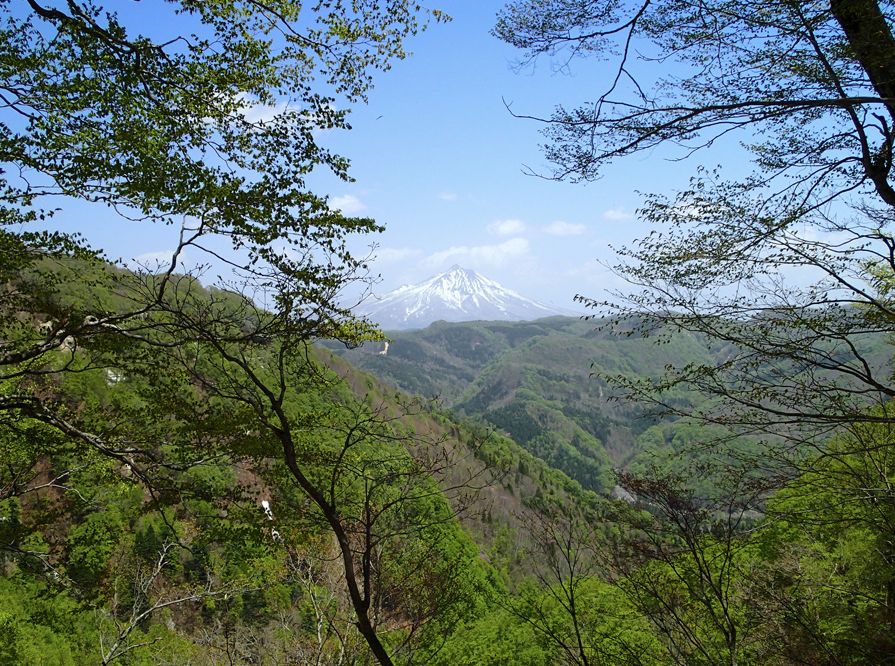 日本的小清新聖地，才不是北海道呢！ 旅遊 第4張