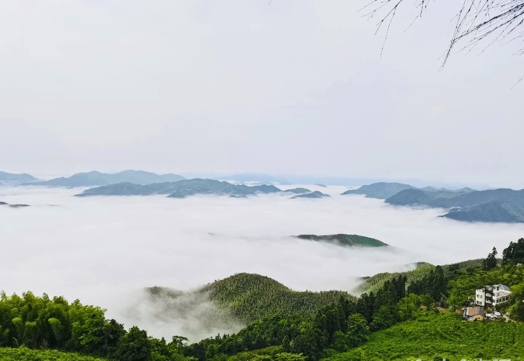 一定要去最好的地方發呆！ 旅遊 第53張