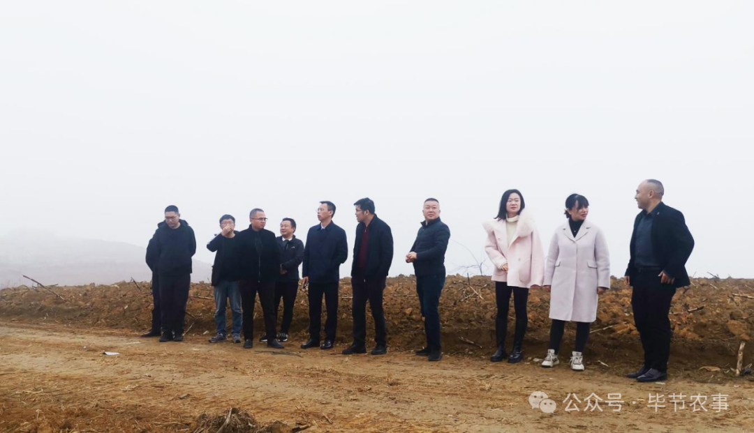 王雄率队到黔西市调研高标准农田建设工作