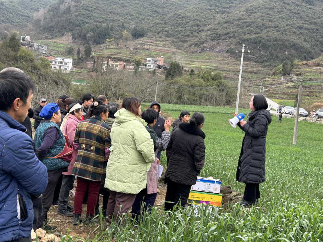 金沙县抢抓小麦生产关键期组织开展小麦一喷三防技术培训工作