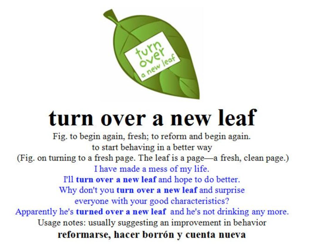 Leaf是什么意思 每日商务英语 台州新闻