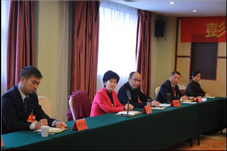 周文霞在彭场代表团审议_云上仙桃