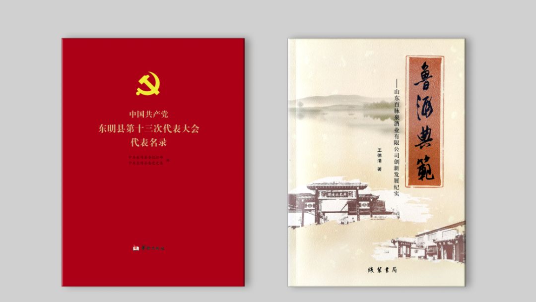 公司樣本畫冊(cè)印刷_設(shè)計(jì)印刷畫冊(cè)公司_東莞畫冊(cè)印刷