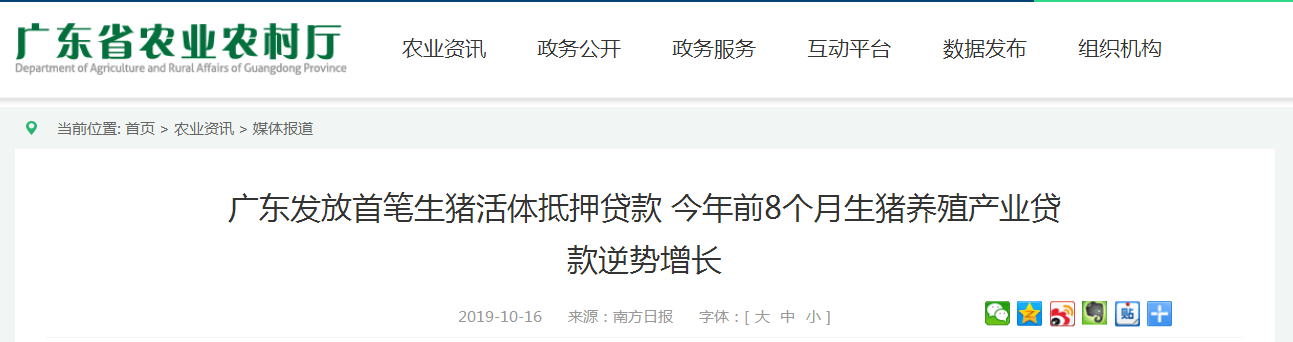 广东发放首笔生猪活体抵押贷款 今年前8个月生猪养殖产业贷款逆势增长 广东发放首笔生猪活体抵押贷款 今年前8个月生猪养殖产业贷款逆势增长