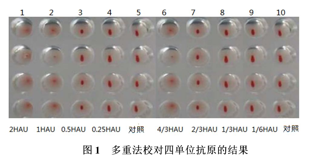 为什么采用4个血凝单位血凝抑制试验4单位抗原的配置方法探讨_https://www.jmylbn.com_新闻资讯_第2张