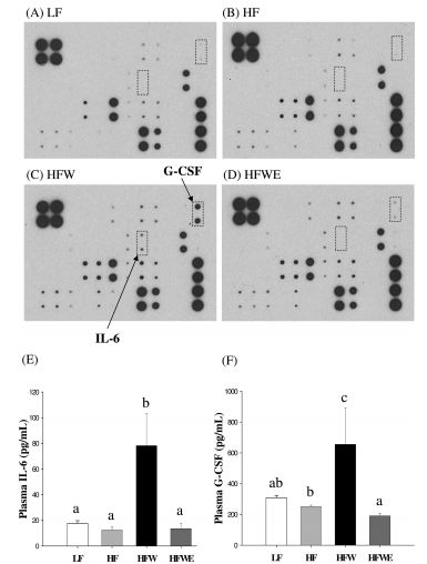 RayBiotech抗体芯片在EGCG对肥胖和代谢综合征影响研究中的应用(图7)
