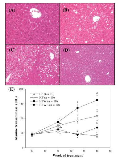 RayBiotech抗体芯片在EGCG对肥胖和代谢综合征影响研究中的应用(图6)