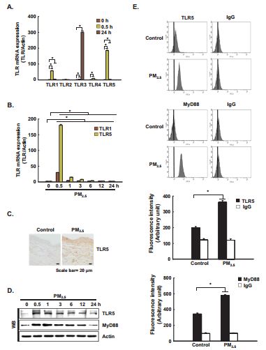 RayBiotech抗体芯片在PM2.5对炎症影响研究的应用(图3)