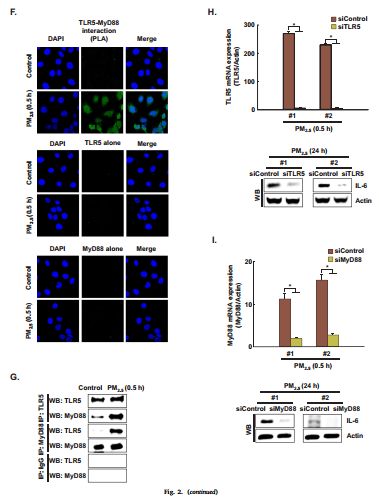 RayBiotech抗体芯片在PM2.5对炎症影响研究的应用(图4)