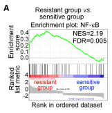RayBiotech抗体芯片在CAFs与肿瘤耐药性研究中的应用(图9)