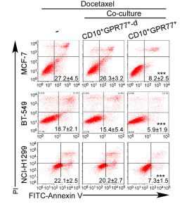 RayBiotech抗体芯片在CAFs与肿瘤耐药性研究中的应用(图3)