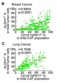RayBiotech抗体芯片在CAFs与肿瘤耐药性研究中的应用(图5)