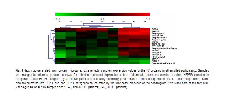 RayBiotech抗体芯片在心力衰竭研究中的应用(图4)