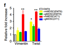 RayBiotech抗体芯片在肿瘤转移发生机制研究中的应用(图8)
