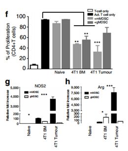 RayBiotech抗体芯片在肿瘤转移发生机制研究中的应用(图6)