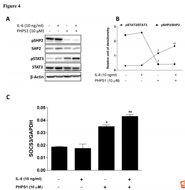 RayBiotech抗体芯片在重度哮喘机制研究的应用(图5)