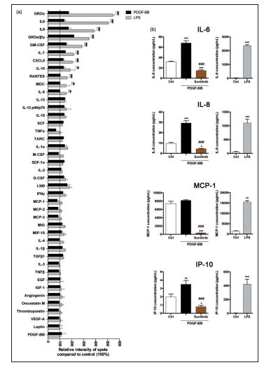 Raybiotech抗体芯片在周细胞响应血小板衍生的PDGF-BB分泌促再生分子研究中的应用(图5)