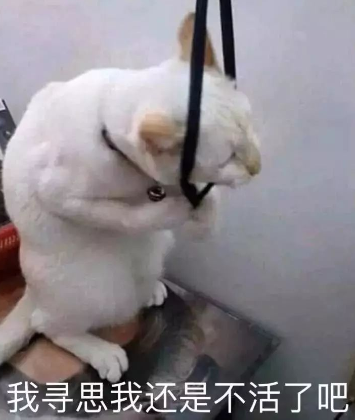 郑爽回应了!全网最全吃瓜指南!-微信头条网 郑爽回应了!全网最全吃瓜指南!