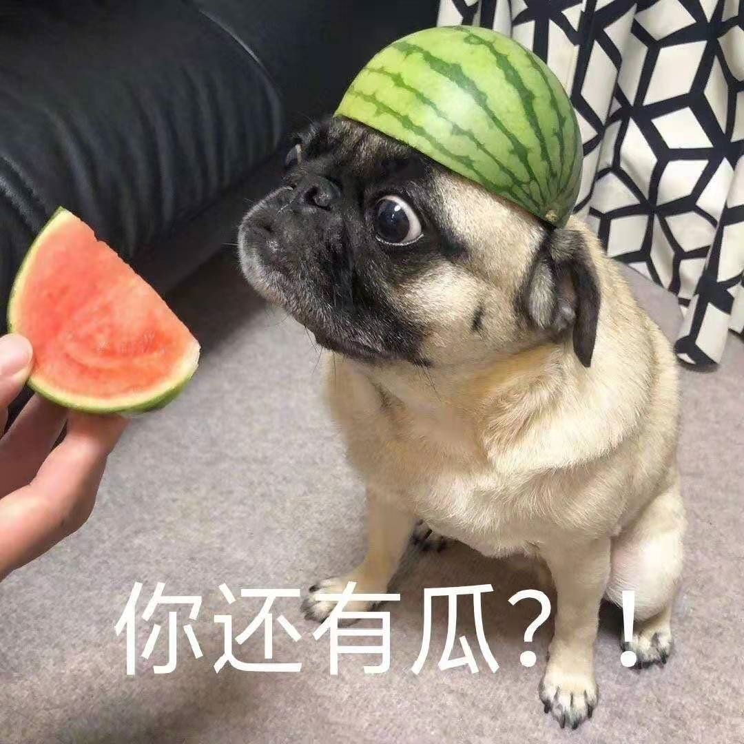 郑爽回应了!全网最全吃瓜指南!-微信头条网 郑爽回应了!全网最全吃瓜指南!