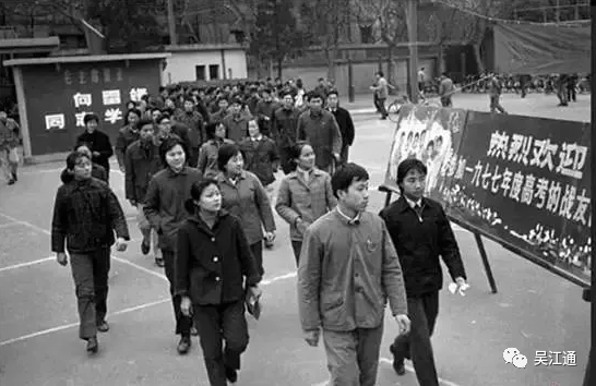 震泽中学占地面积_震泽中学有几个班_震泽中学