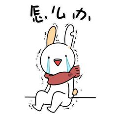 56岁阿姨身上十多种病，从步履蹒跚到日行七公里，沪厦医疗团队联手助力