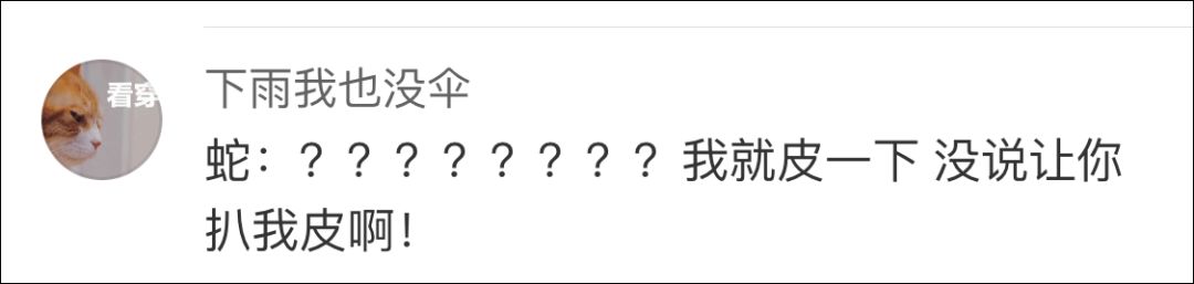 蛇溜進宿舍被學(xué)生剝皮燉湯食用 校方:已對學(xué)生批評