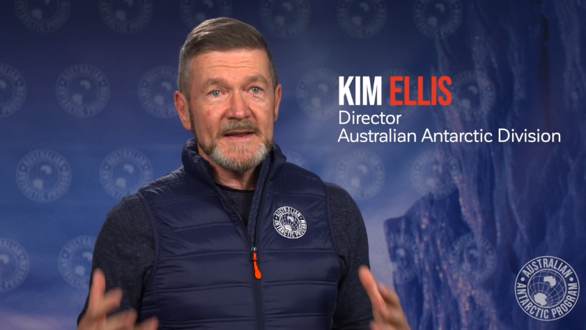 澳大利亚南极局(aad)局长金·埃利斯(kim ellis)在一份声明中说,"在