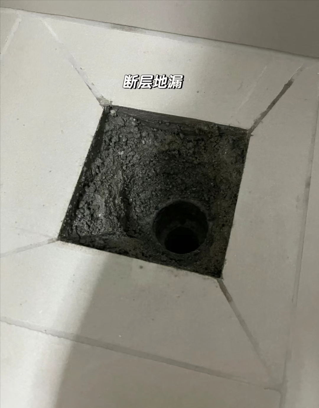 ͼƬ