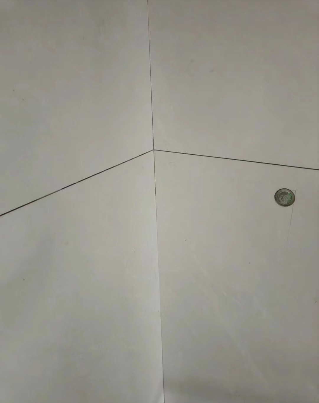 ͼƬ