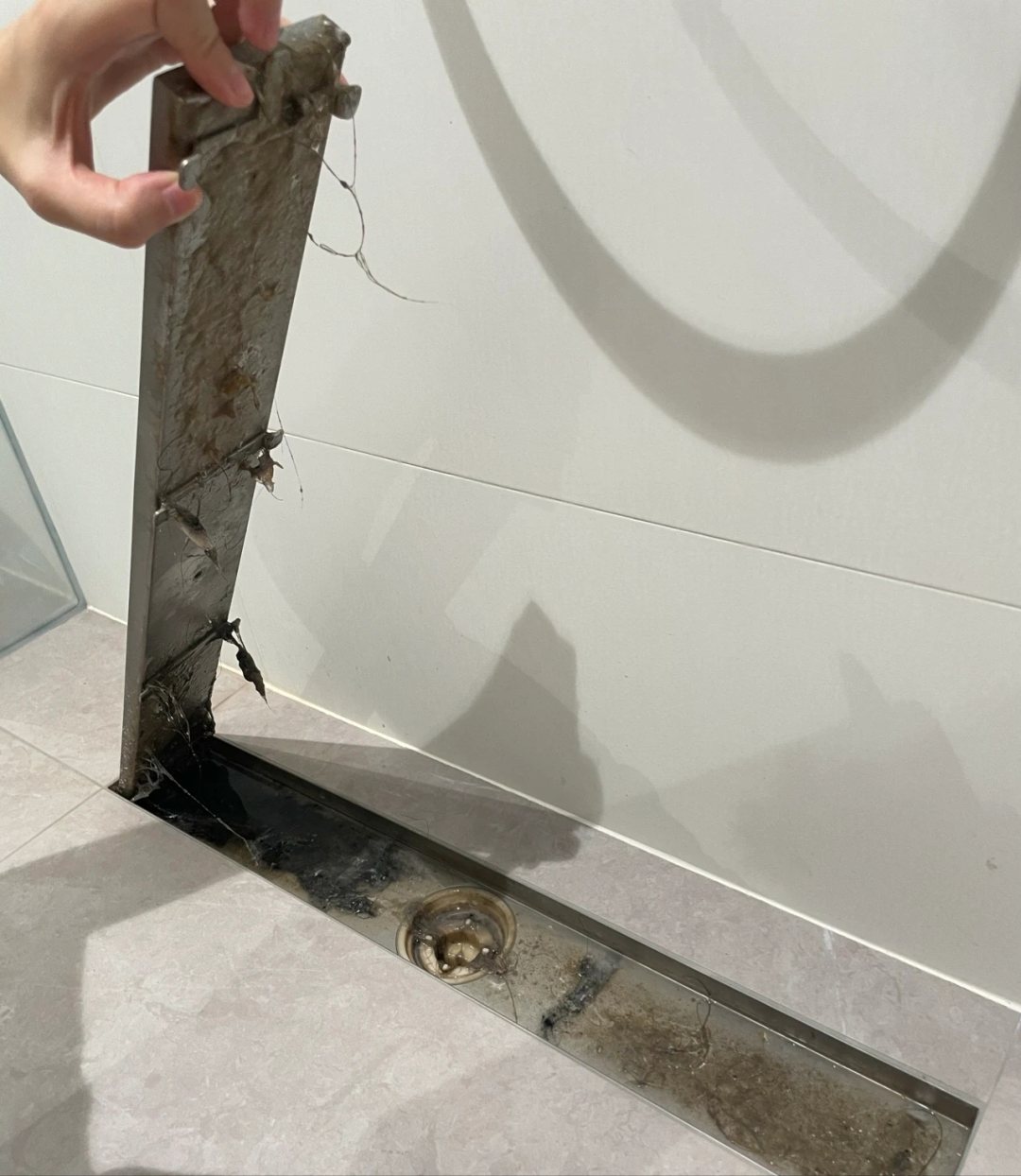 ͼƬ