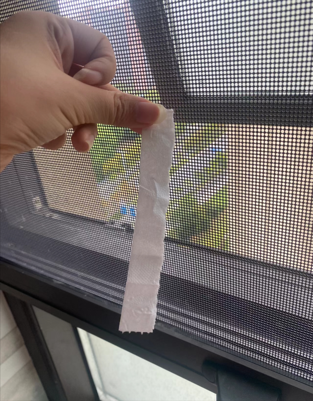 ͼƬ