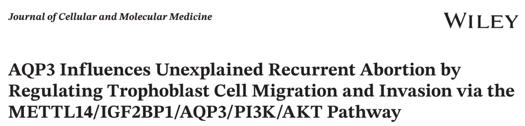 RIP结果解读-辉骏生物RIP客户高分文献