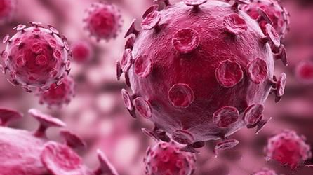 hpvdna分型分为什么型HPV基因分型检测临床应用_https://www.jmylbn.com_新闻资讯_第2张