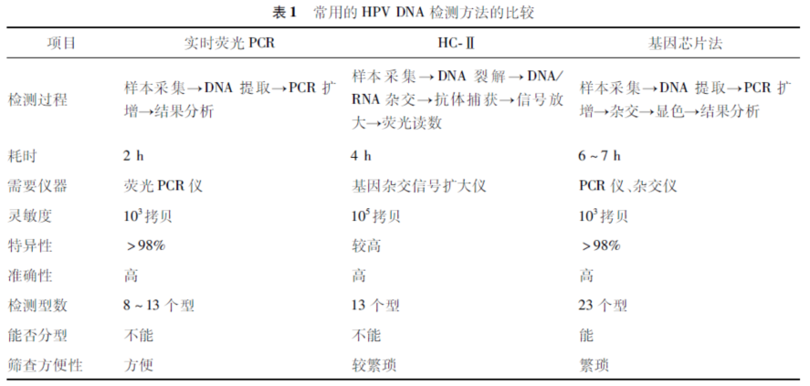 hpvdna分型分为什么型HPV基因分型检测临床应用_https://www.jmylbn.com_新闻资讯_第7张