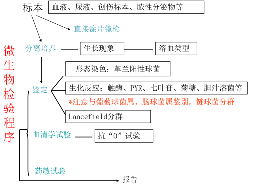 微生物学检验 第七章需氧和兼性厌氧球菌鉴定 二 医学生的圈子 微信公众号文章阅读 Wemp