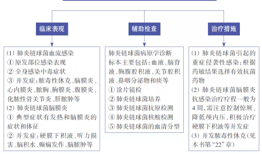 小儿休克抢救流程图