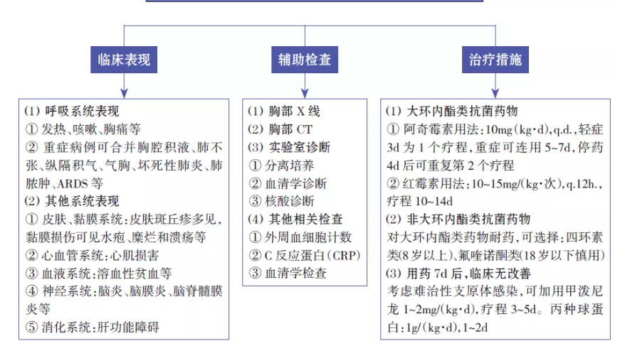 小儿休克抢救流程图