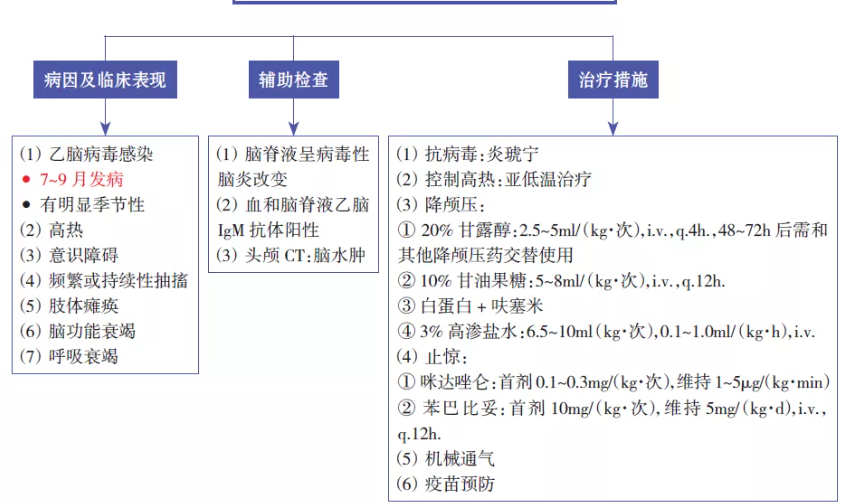 小儿休克抢救流程图