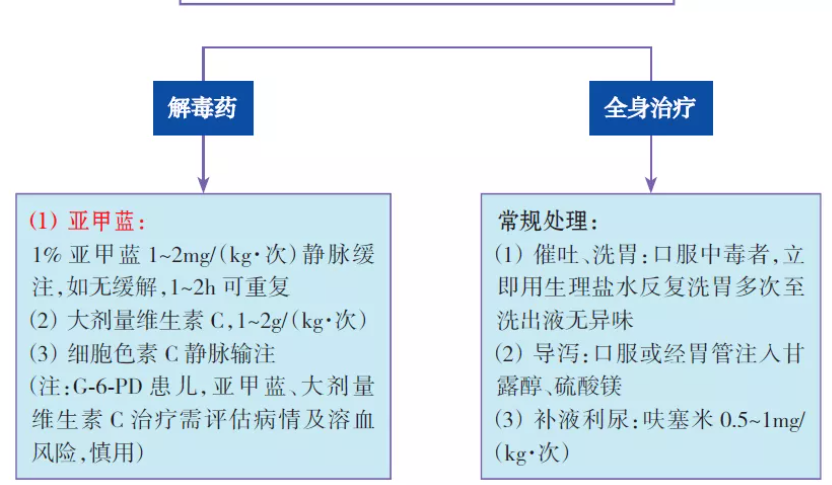 小儿休克抢救流程图