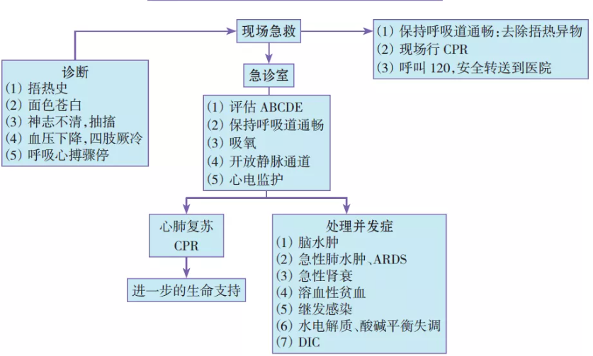 小儿休克抢救流程图