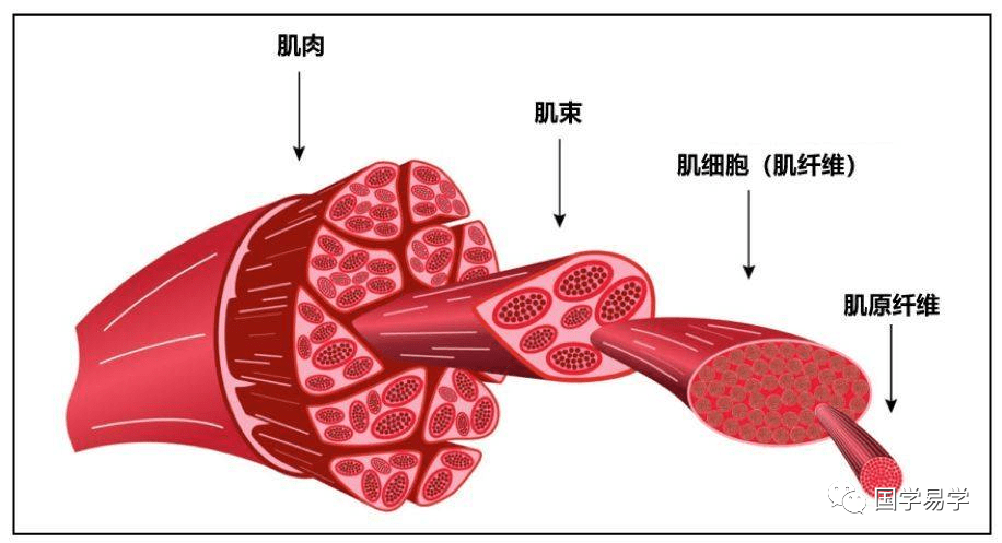 为什么叫肌电生物反馈生物反馈法_https://www.jmylbn.com_新闻资讯_第5张